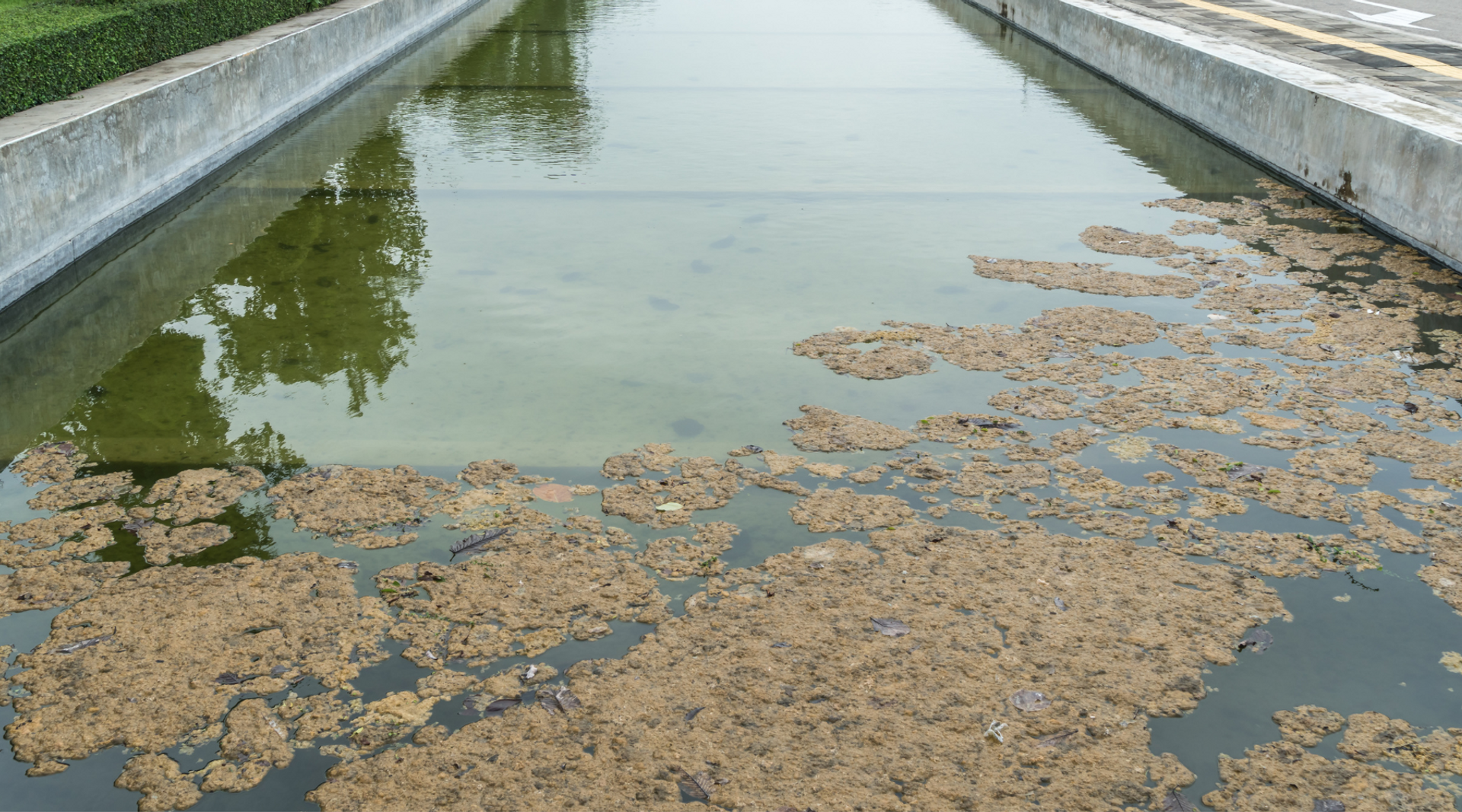 Brown and clumpy denitrification foam floating on the surface of a secondary clarifier