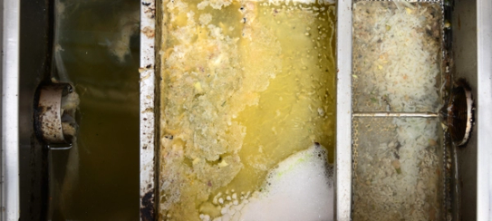 Treated Versus Untreated Grease Traps