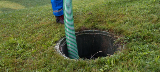 Experimenting with Septic System Treatment