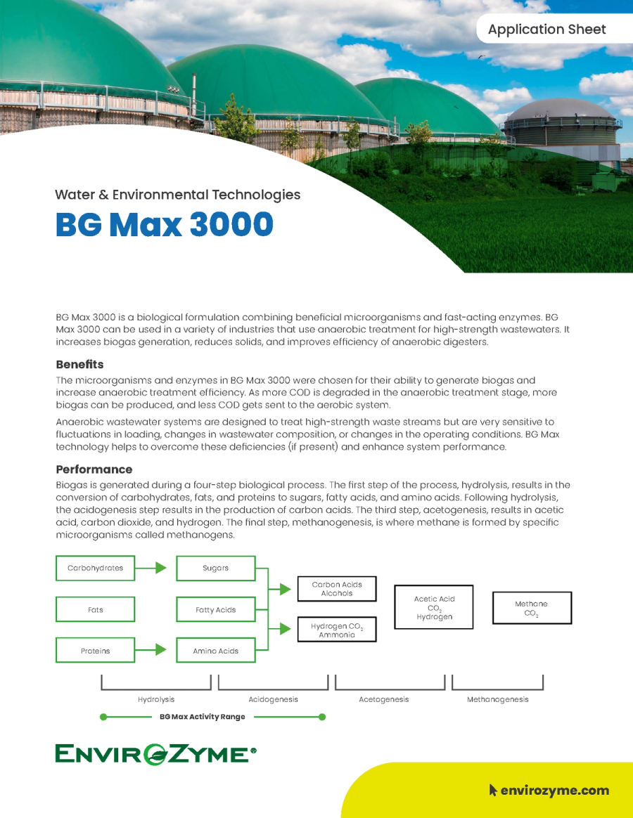 BG Max 3000 Application Sheet