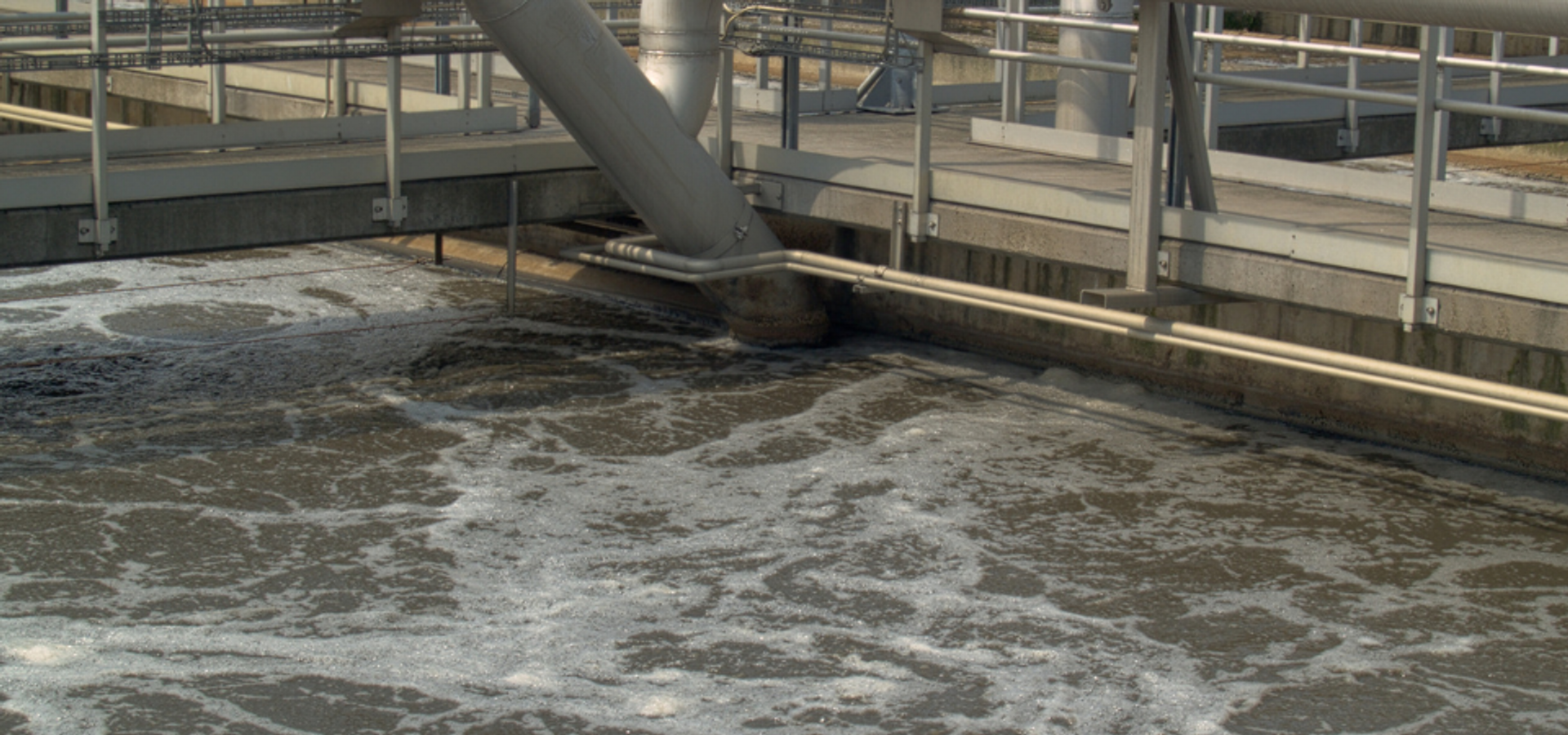 8 Must-Take Steps to Rectify Elevated Ammonia in Effluent
