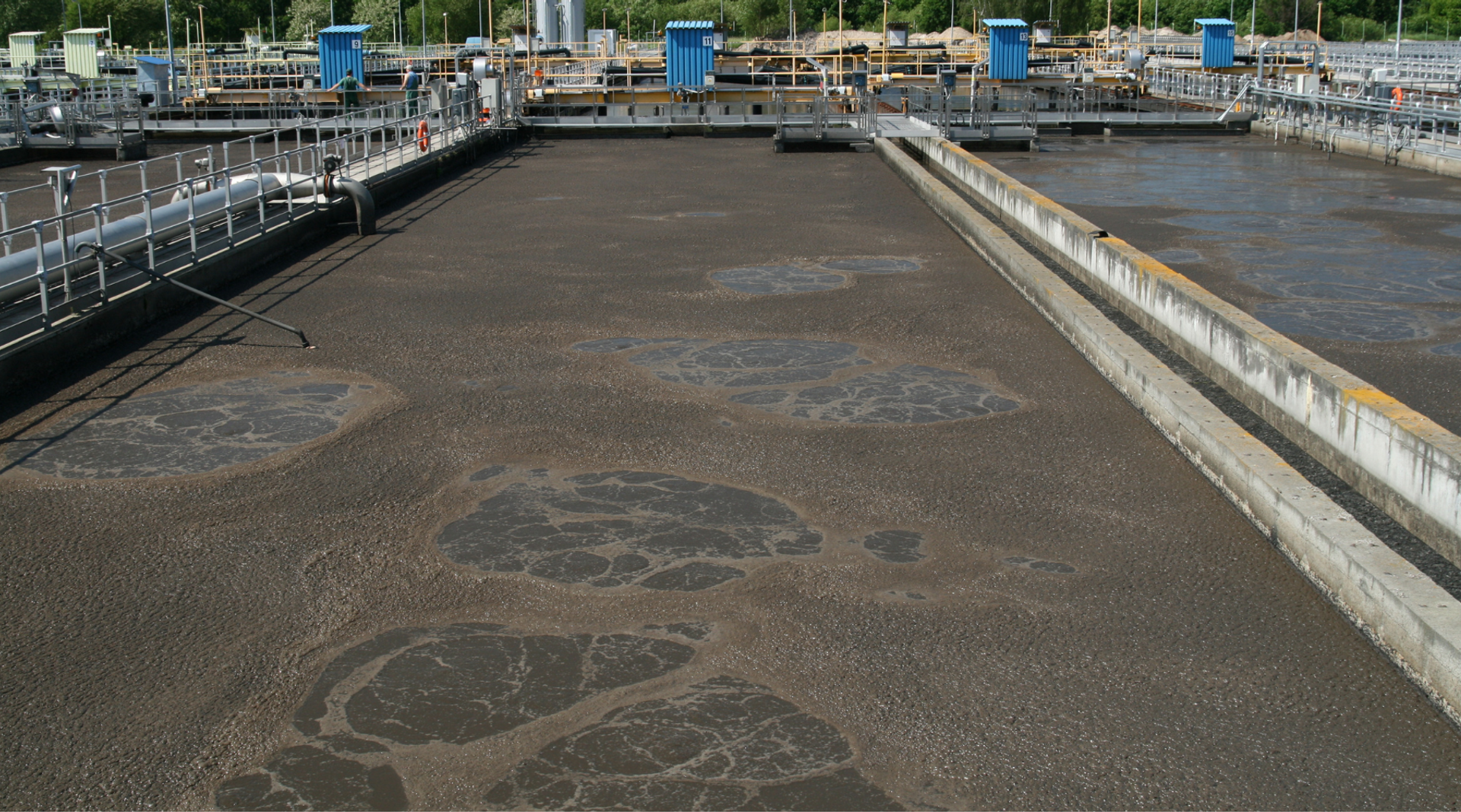 Nutrient deficiency foam in a wastewater treatment plant