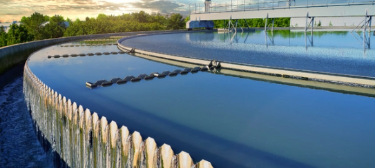The Delicate Balance of Nutrients in Wastewater