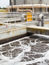 EnviroZyme® Eliminates Foam in Municipal Wastewater Trial