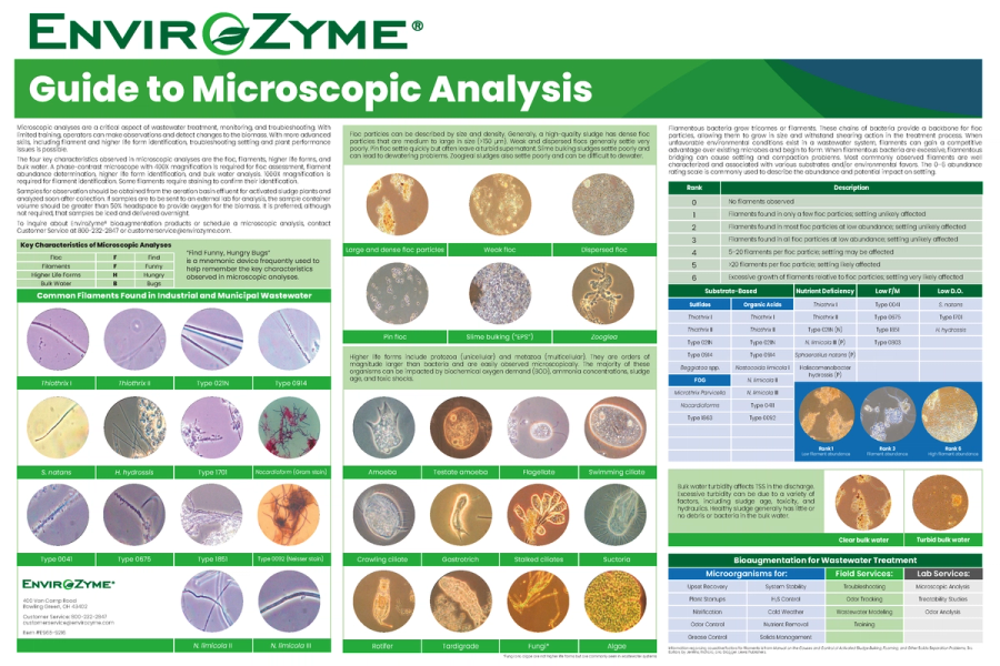 Microscopic Analysis Poster