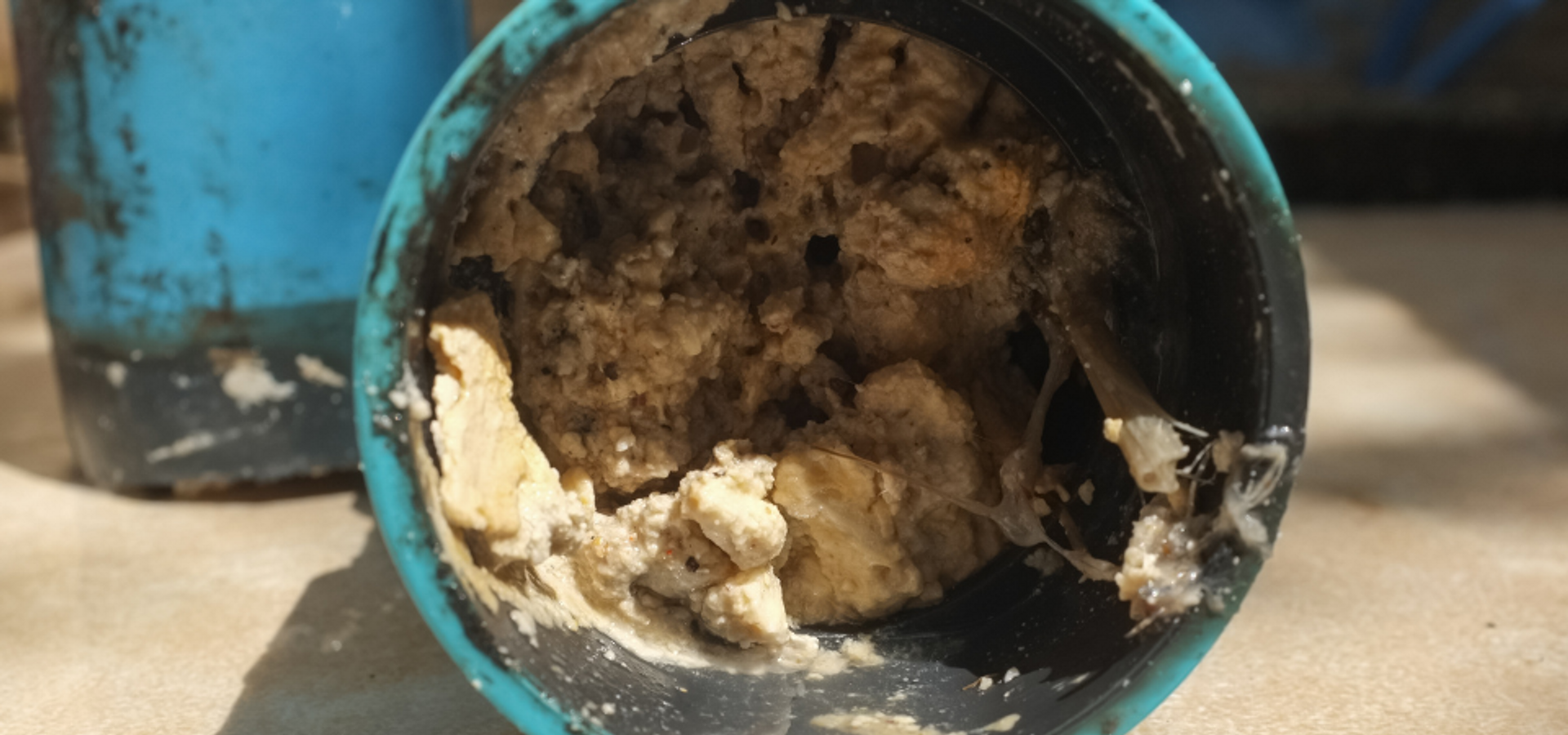 Microbiological Treatment for Grease in Pipes