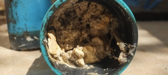 Microbiological Treatment for Grease in Pipes