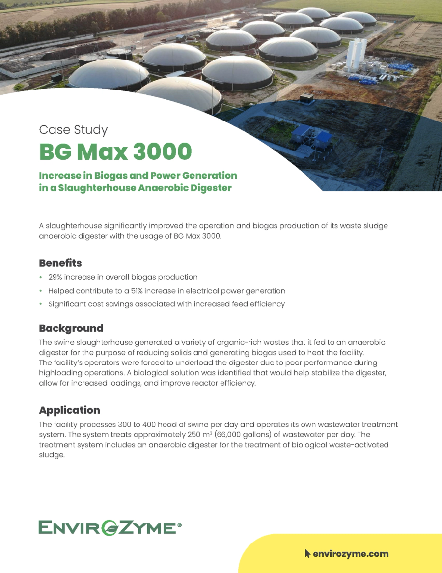 BG Max 3000 Case Study - Biogas