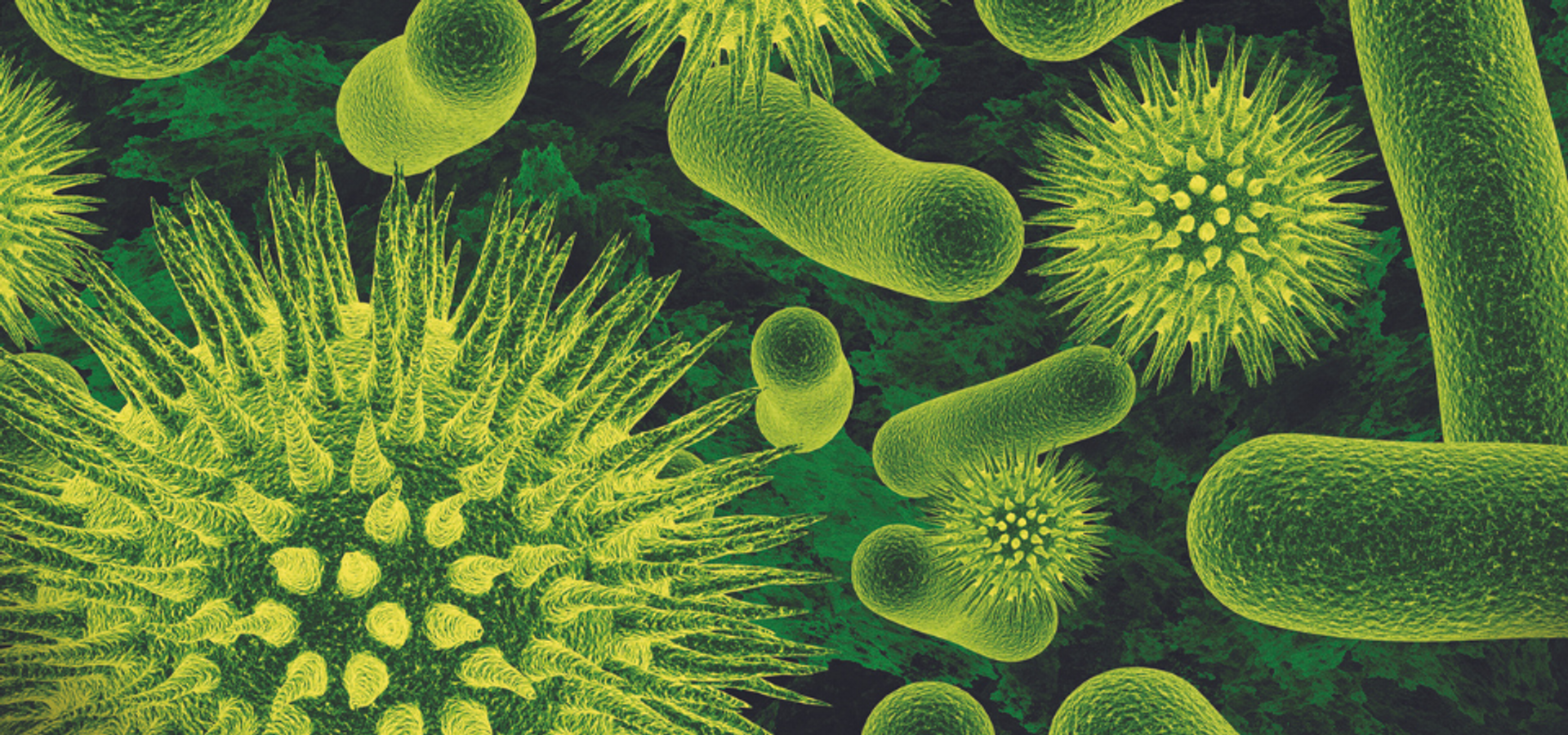 Enzymes vs. Bacteria, Unmuddying the Waters