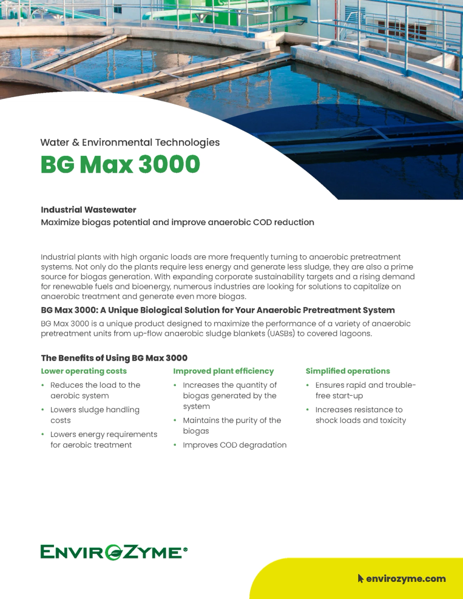 BG Max 3000 Benefit Sheet