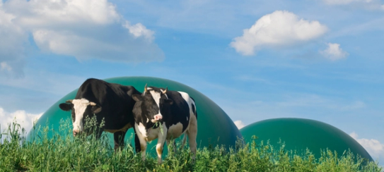 Biomass to Biogas: Anaerobic Degradation 101